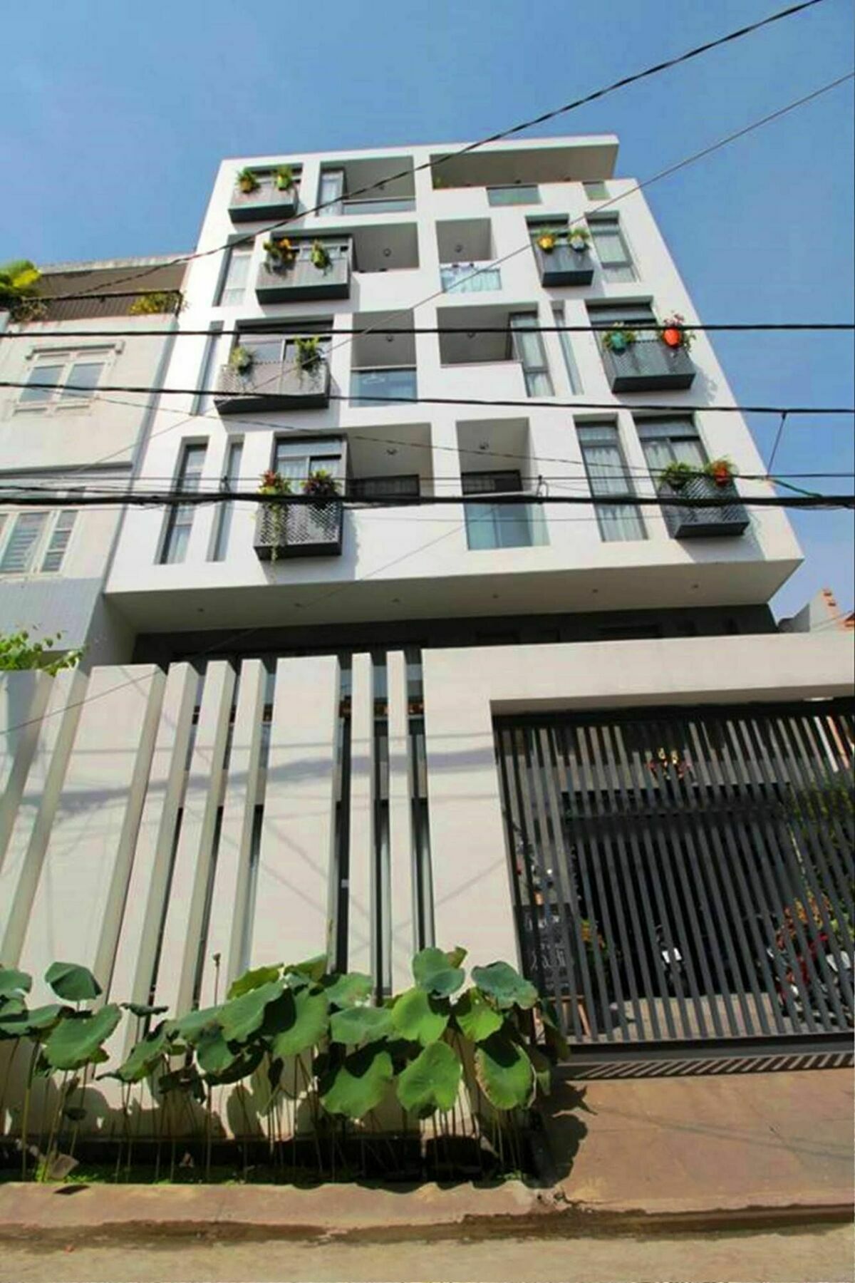 Sen Boutique House By 5h * TP. Hồ Chí Minh